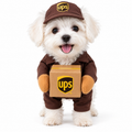 Dog wearing the Delivery Driver Costume with a cap and box prop