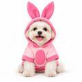 Dog wearing the Honey Bear Pullover with round hood ears